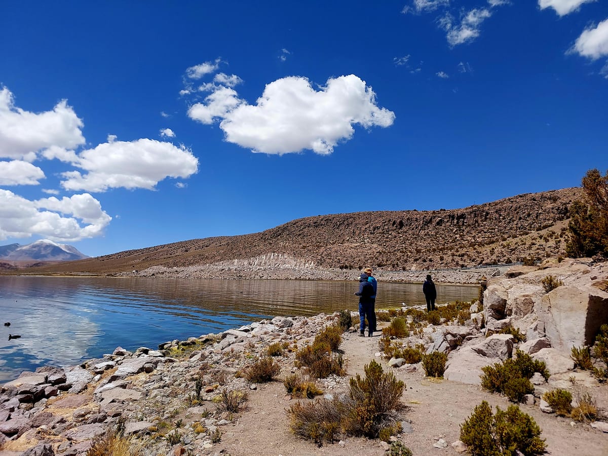 Parque Nacional Lauca: Reserva de Biosfera UNESCO