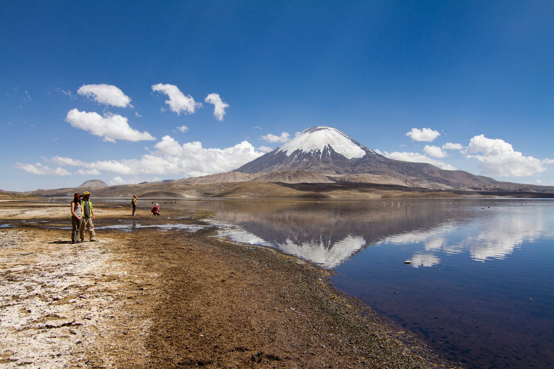 Descubre Arica: La Joya del Norte