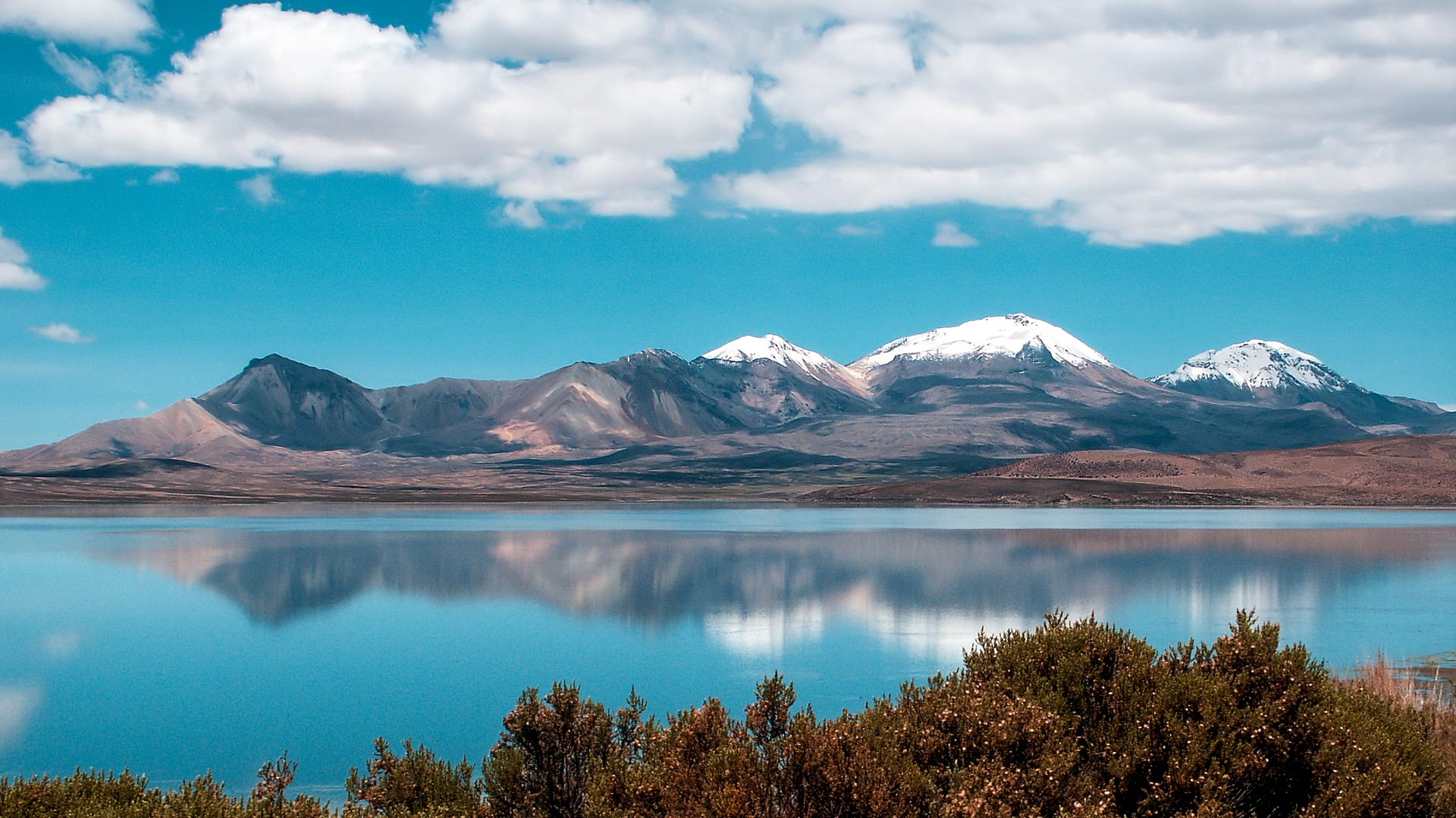 Lago Chungará: Espejo del Altiplano