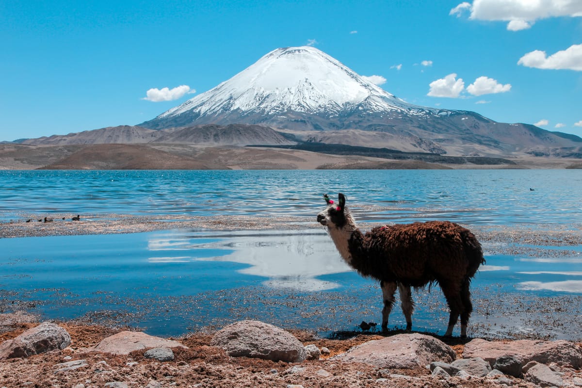 Lago Chungará 2 Días
